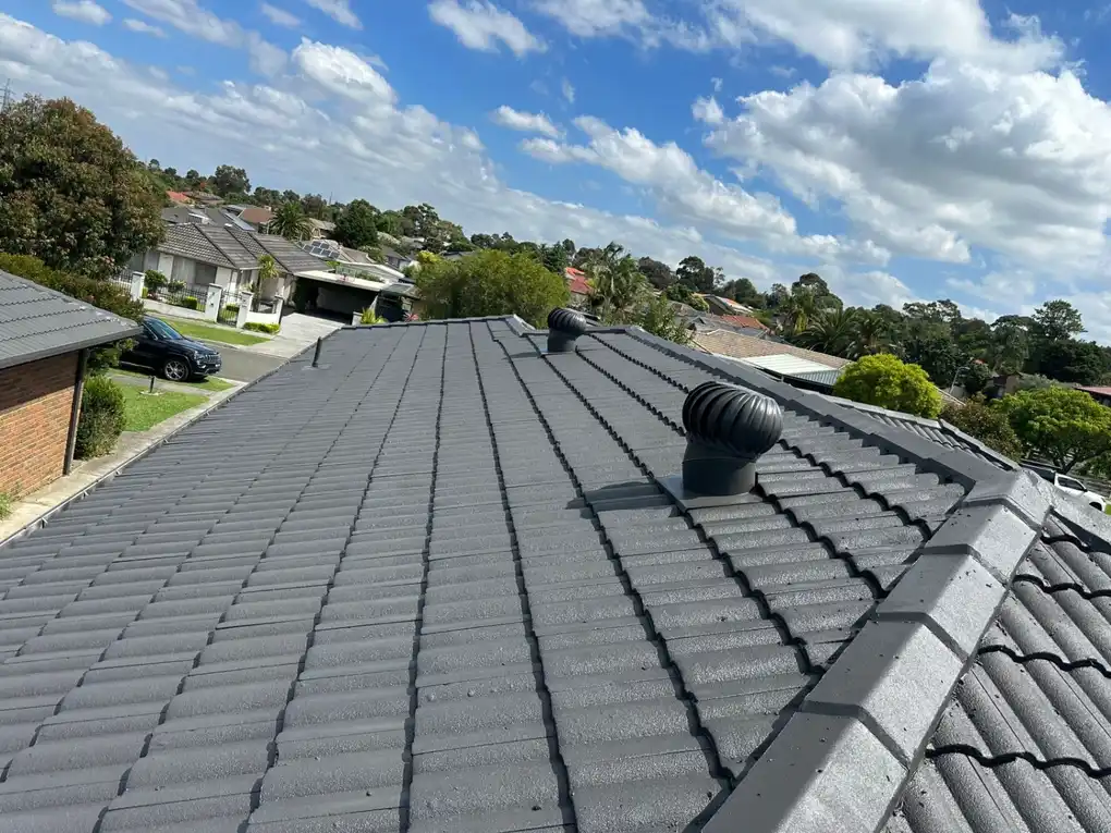 Roof restoration and painting service